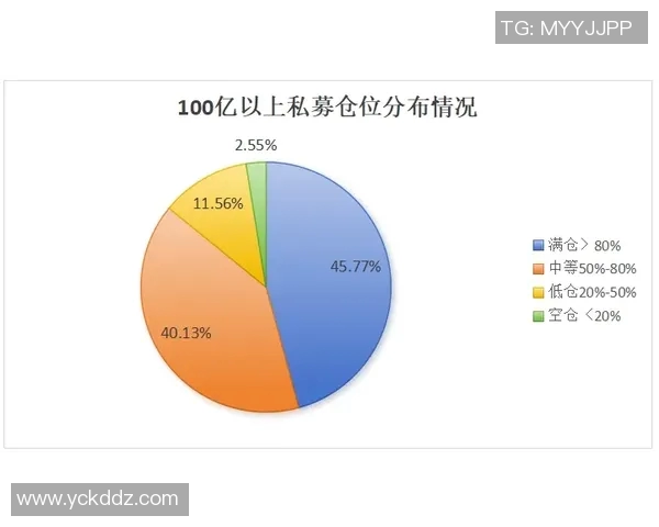 狂热与银星的深度对比分析及其在市场中的表现探讨 狂热与银星的深度对比分析及其在市场中的表现探讨