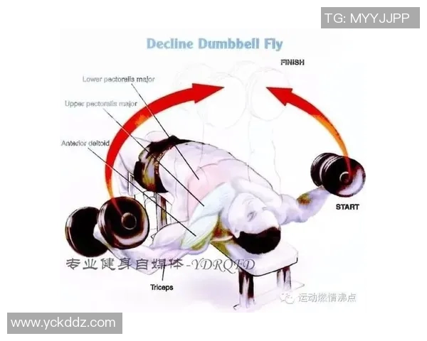 哑铃练胸肌中锋的科学方法与实用技巧分享